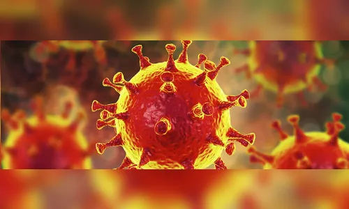 Apucarana registra 14 novos casos de coronavírus