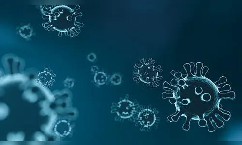 Apucarana confirma mais nove casos de Covid-19 neste domingo