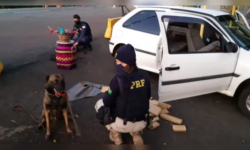 PRF apreende 116 quilos de maconha no fim de semana no Paraná