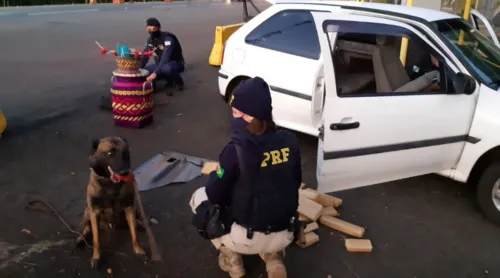 PRF apreende 116 quilos de maconha no fim de semana no Paraná