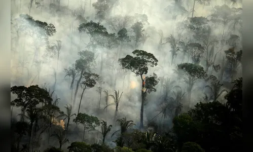 Força-tarefa para combate a incêndios na Amazônia será ampliada