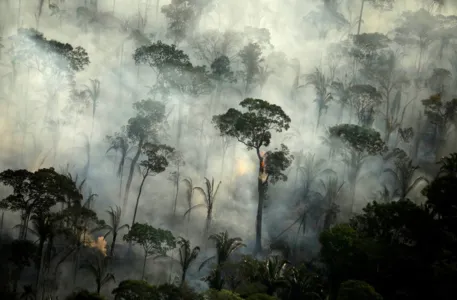 Força-tarefa para combate a incêndios na Amazônia será ampliada