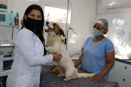 População carente castra cães no Castramóvel em Ivaiporã