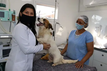 Os serviços do Castramóvel são oferecidos no Parque Ambiental Jardim Botânico