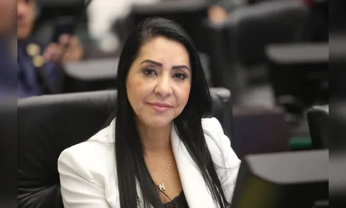 Comissão realiza audiência pelos 14 anos da Lei Maria da Penha