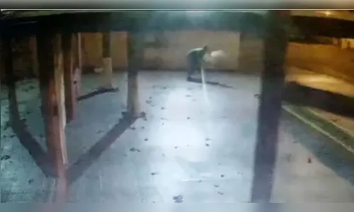 Homem é flagrado furtando pavão de escola em Londrina; assista