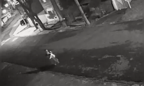 Homem suspeito de matar e assar cão em forno é preso; assista