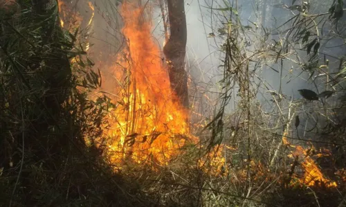 Prossegue combate a incêndio florestal na Serra dos Órgãos