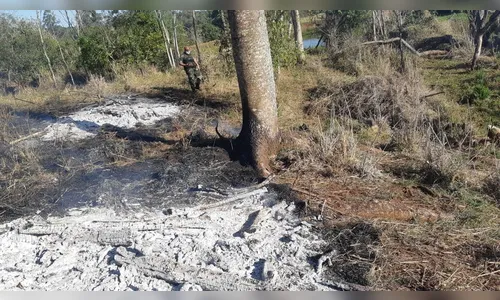 PM Ambiental multa proprietários por atear fogo em área agropastoril