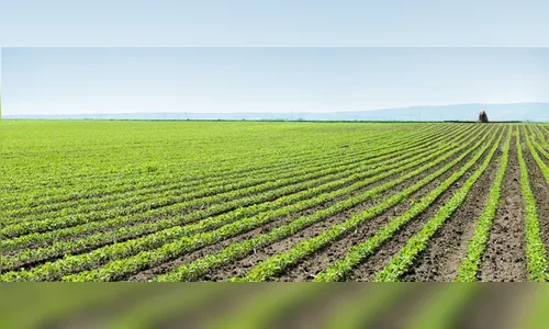 Finanças e Seaspma informam sobre Valores de Terra Nua exercício 2020