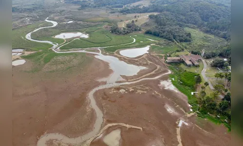 Estiagem no Paraná pode perdurar até fevereiro de 2021