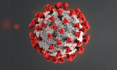 Paraná soma 94.882 casos confirmados e 2.417 óbitos pela Covid-19