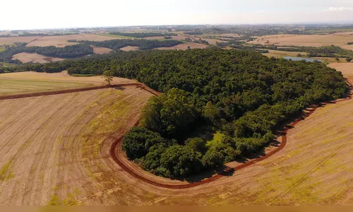 Ivaiporã realizará oficina de planejamento do plano de manejo da Estação Ecológica Faian