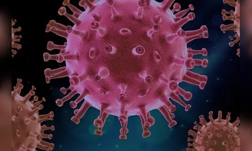 Arapongas tem 71 novos casos e mais 125 curados de Covid-19