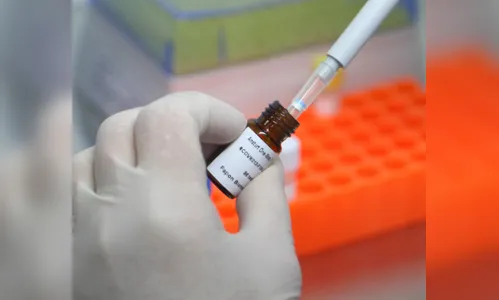 Paraná chega a 96.697 casos e 2.488 mortes pela Covid-19