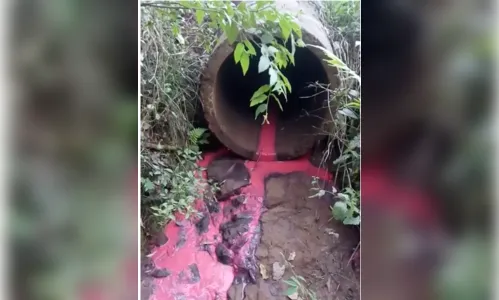 Prefeitura aciona IAP para investigar descarte irregular de resíduos em Novo Itacolomi