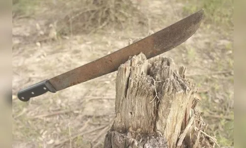 Caminhoneiro de Manoel Ribas é assaltado com facão em Lunardelli