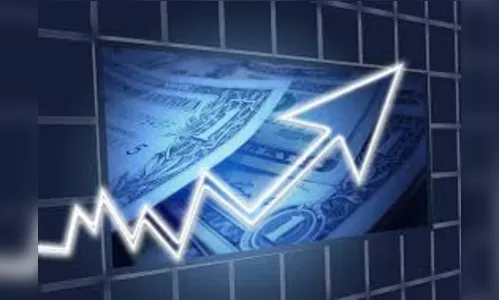 As Empresas e a Financeirização
