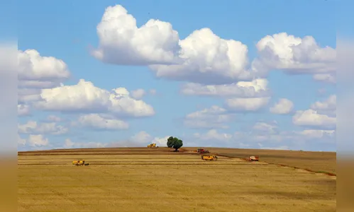 Boletim destaca Valor Bruto da Produção agropecuária paranaense