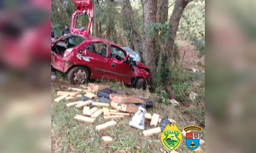 Polícia apreende mais de 135 quilos de maconha em cidade do Paraná