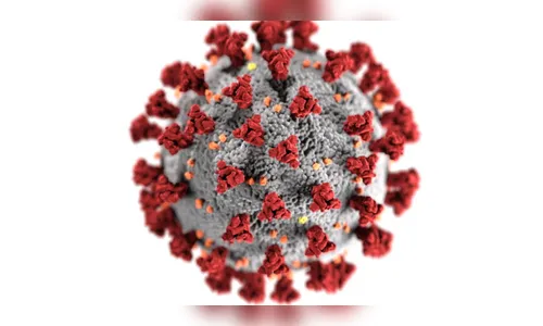 Médico de Apucarana internado em SP para tratamento de Covid recebe alta; assista