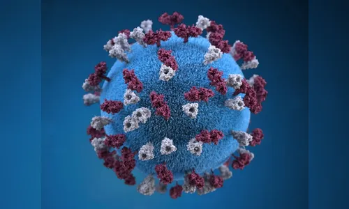 Criança de 11 anos morre vítima de Covid-19 em Arapongas