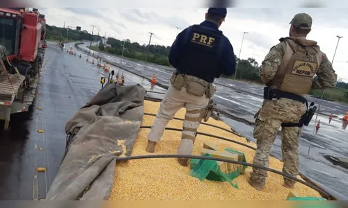PRF e PF apreende 4,5 toneladas de maconha no Paraná