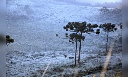 Meteorologistas dizem que pode haver neve e chuva congelada no estado