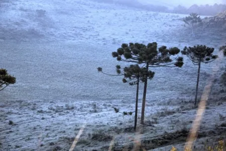 Meteorologistas dizem que pode haver neve e chuva congelada no estado