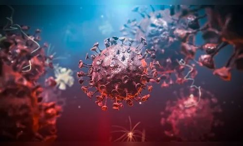 Apucarana confirma mais 15 novos casos de Covid-19