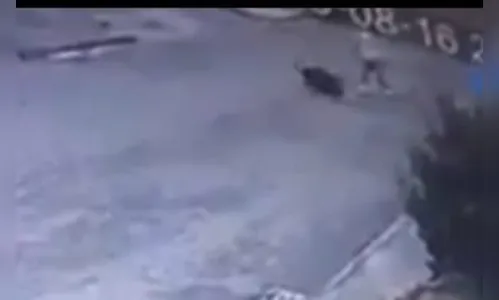 Cachorro é morto a enxadadas e suspeitos são presos no PR; video