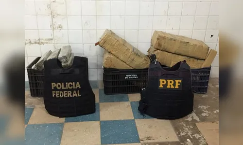 PRF apreende R$ 122 mil em maconha durante operação no Paraná