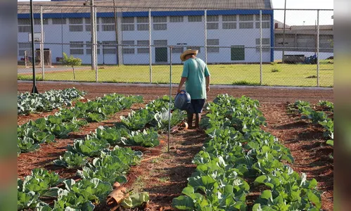 Maringá terá unidade prisional exemplo no País