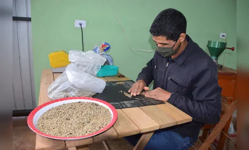 Concurso  seleciona melhores cafés em Ivaiporã
