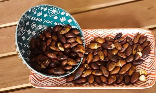 Castanha do cerrado pouco conhecida, o baru é rico em nutrientes