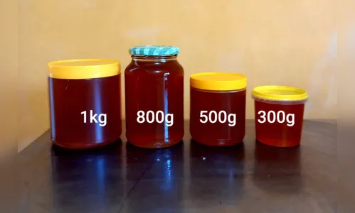 Certificação vai ampliar mercado para produtores de mel de Cerro Azul