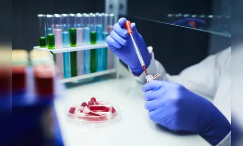 Paraná tem 117.723 confirmações e 2.973 mortes pela Covid-19