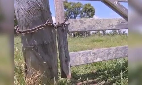 Gado é furtado em duas propriedades rurais de Rosário do Ivaí