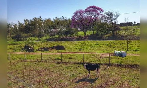 Em seis meses, Regularização Fundiária alcança 1.600 famílias no Paraná