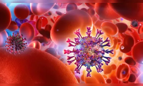 Cinco mulheres e dois homens testam positivo para Covid-19 em Apucarana