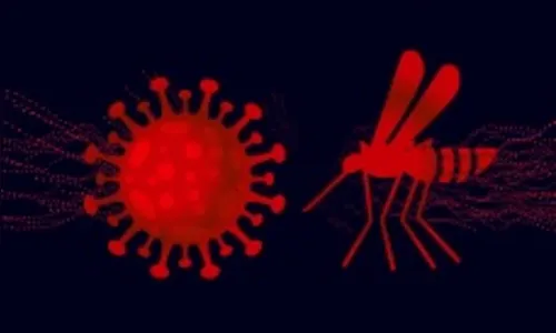 Maringaense se recupera de dengue e covid ao mesmo tempo