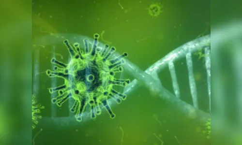 Arapongas registra 20 novos casos de Covid-19 e 32 curados e um óbito