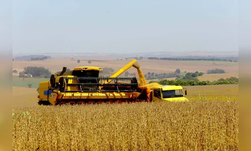 Safra de verão deverá chegar a 24,3 milhões de toneladas