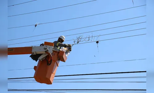 Copel promove mutirão de limpeza nas redes elétricas