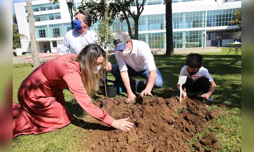 Floresce Paraná celebra o voluntariado com mudas de manacá-da-serra