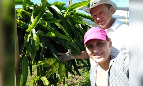 Cooperativas se preparam para o mercado digital