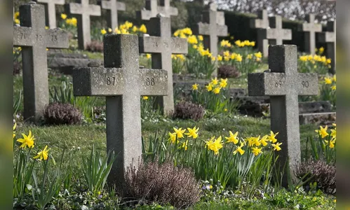Falecimentos em Ivaiporã e região neste sábado (29)