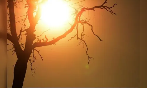 Semana será de tempo seco e quente em Apucarana e região