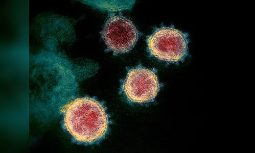 Curitiba registra mais 11 óbitos por Covid-19