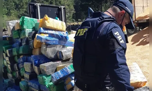 PRF apreende 10 toneladas de maconha e atinge a marca de 100 toneladas no Paraná